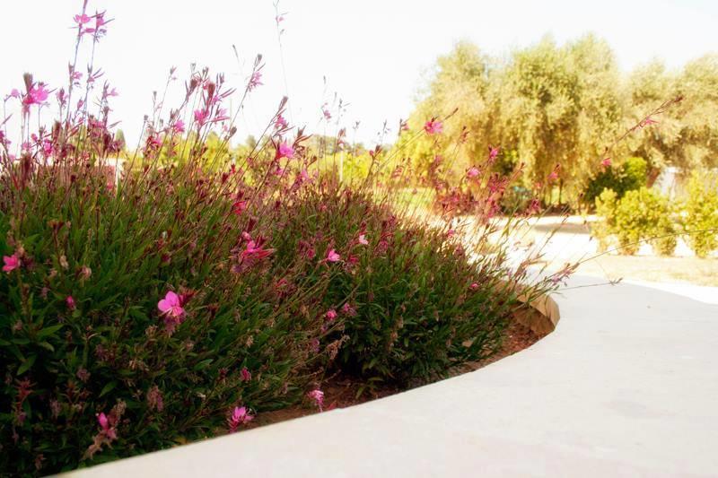 Agriturismo Fontanelle Otranto Kültér fotó